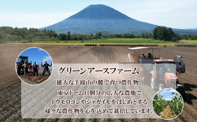 【 2026年 出荷 】 北海道産 朝もぎ イエロー とうもろこし 味来 みらい 2Lサイズ 13本 約5kg 大きめ 夏野菜 とうきび 新鮮 野菜 トウモロコシ ギフト 産地直送 コーン 産直 グリーンアースファーム スイートコーン 