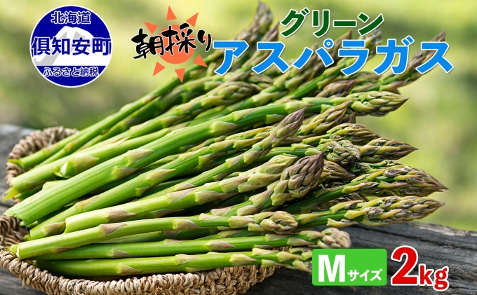 北海道 アスパラガス グリーン 2kg セット Mサイズ 春 限定 旬 朝採り 新鮮 野菜 アスパラ ギフト gift 産地直送 産直 お取り寄せ 詰め合わせ 送料無料 倶知安町