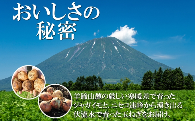 北海道産 じゃがいも キタアカリ 玉ねぎ Lサイズ 各約10kg ジャガイモ 北あかり 馬鈴薯 ポテト 玉葱 常備野菜 根菜 産直 JAようてい 送料無料 北海道 倶知安町 北海道のジャガイモ 食品 