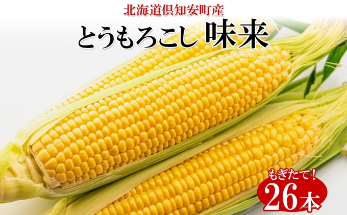 北海道産 朝もぎ イエロー とうもろこし 味来 みらい 2Lサイズ 26本 約10kg 夏野菜 とうきび 新鮮 野菜 トウモロコシ 甘い ギフト 産地直送 コーン 産直 グリーンアースファーム スイートコーン 