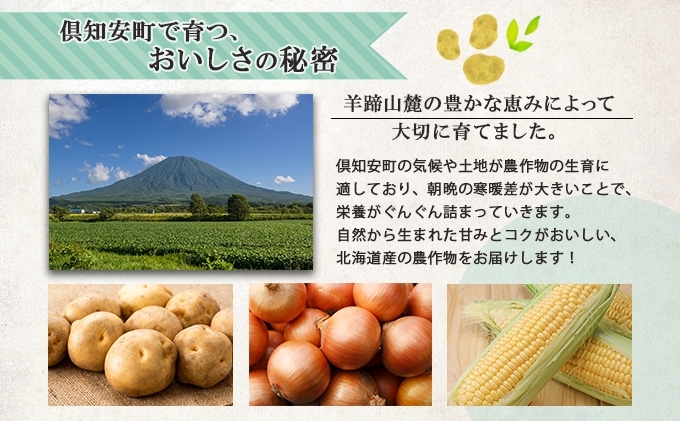 北海道産 道塚農園 じゃがいも 男爵 計10kg前後 L-LLサイズ ジャガイモ 男爵いも 男爵芋 だんしゃく 馬鈴薯 芋 いも イモ 農作物 野菜 産地直送