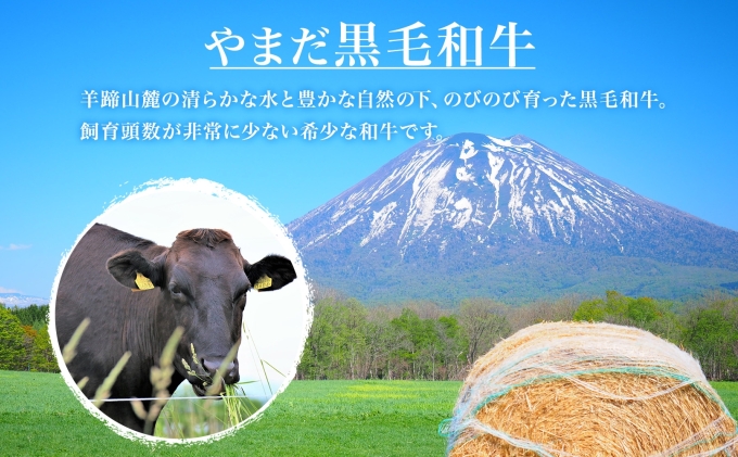 北海道 倶知安町 やまだ黒毛和牛 計400g 焼肉用 ウデ モモ バラ ミックス 200g×2 黒毛和牛 国産牛 お取り寄せ 牛肉 お祝い 和牛 ギフト A4ランク 牛 羊蹄山 送料無料 冷凍 ニセコファーム しりべしや お肉 