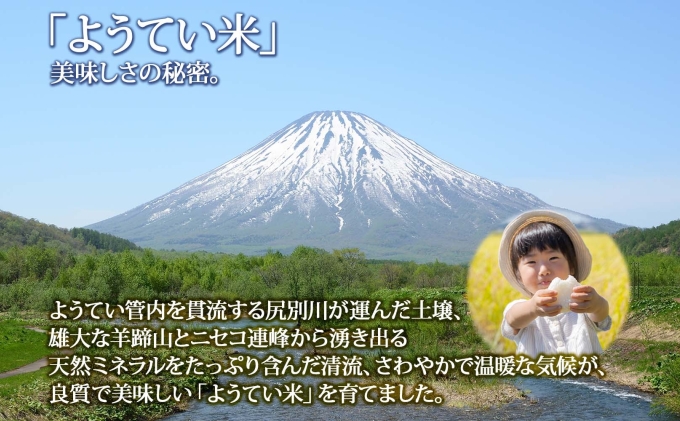 北海道産 ゆめぴりか 精米 5kg お米 米 白米 ブランド米 ご飯 ごはん おにぎり 主食 産直 贈り物 ギフト備蓄 JAようてい 送料無料 北海道 倶知安町 お弁当 和食 直送 産地直送 