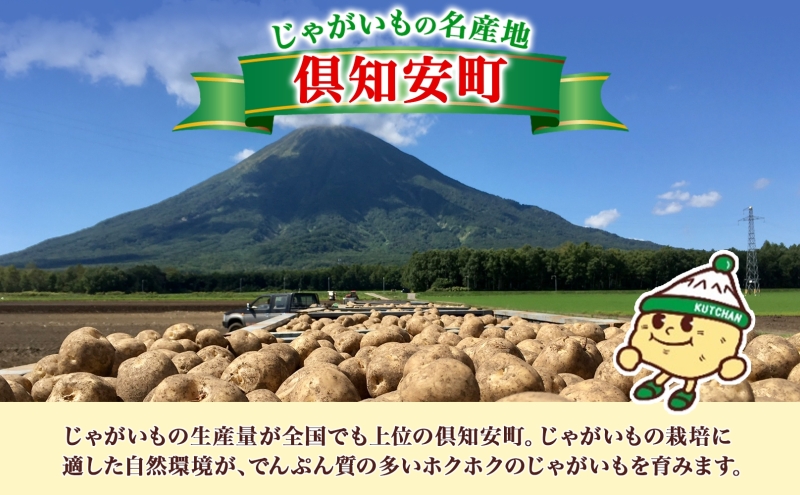 北海道産 じゃがいも きたあかり 5kg 規格外 訳あり S-3L サイズ混合 新じゃが 芋 ジャガイモ いも 野菜 農作物 お取り寄せ キタアカリ馬鈴薯 ニセコファーム 送料無料 北海道 倶知安町 