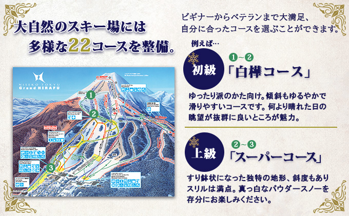 ニセコ 全山共通 リフト券 All Mt.Pass 1日券 【3枚】 2023-2024シーズン ニセコ東急グラン・ヒラフ引換専用