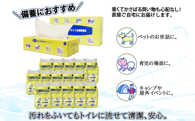 北海道 定期便 2ヶ月毎全6回 とけまるくん ボックス ティッシュ 20箱 ポケット 120個 水に流せる ペーパーリサイクル エコ 香りなし 厚手 日用品 雑貨 常備 備蓄 ストック 送料無料 