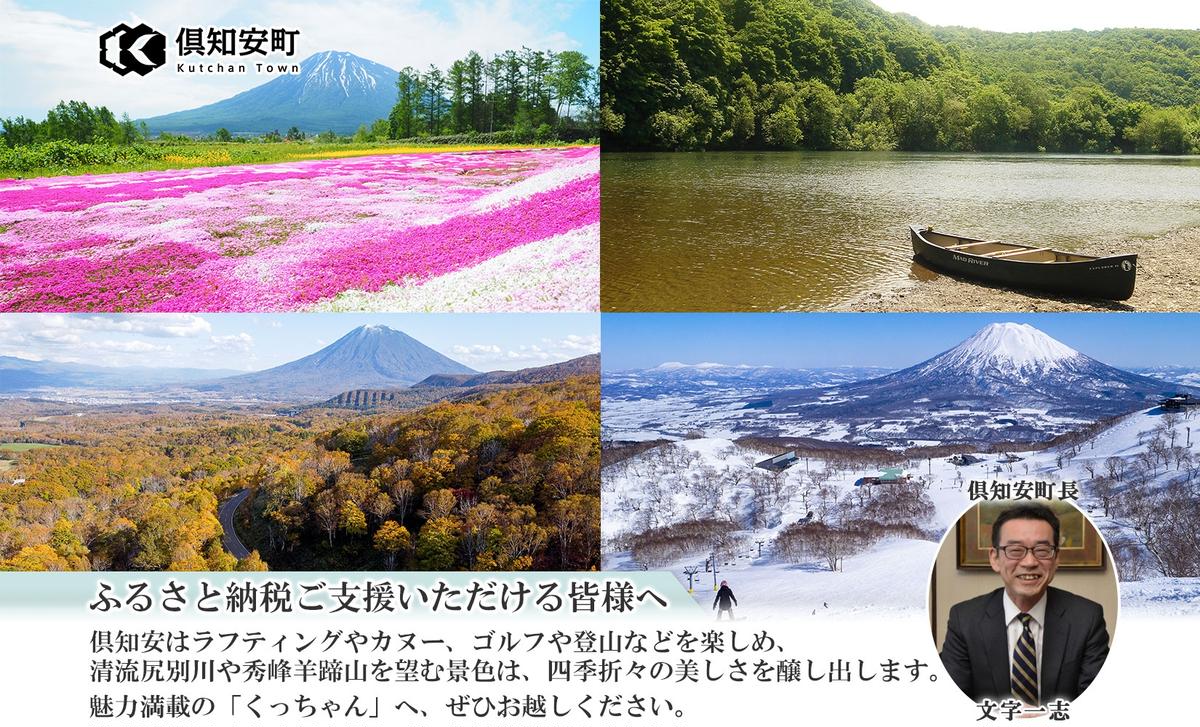 北海道産 ななつぼし 精米 5kg×2袋 計10kg お米 米 白米 ブランド米 ご飯 ごはん おにぎり主食 産直 ギフト 備蓄 JAようてい 送料無料 北海道 倶知安町 お弁当 和食 直送 産地直送 