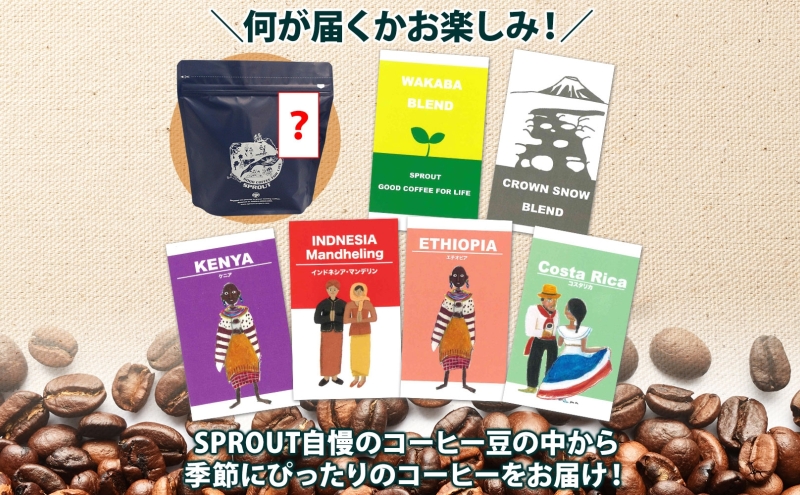 自家焙煎 オリジナル コーヒー豆 5種 コーヒーバッグ 2種 セット 計130杯分 珈琲 オートルート 羊蹄山 ティーバッグ 飲み比べ ブレンド 専門店 ギフト グルメ カフェ ニセコ SPROUT 北海道 俱知安町