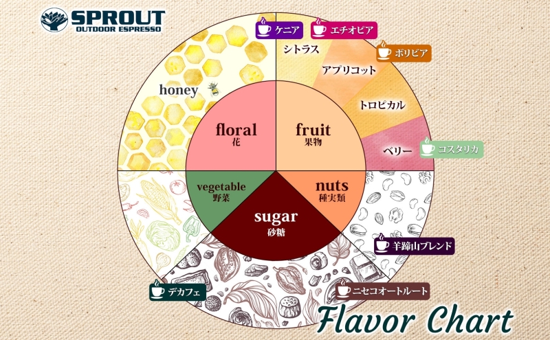 自家焙煎 オリジナル コーヒー豆 5種 コーヒーバッグ 2種 セット 計130杯分 珈琲 オートルート 羊蹄山 ティーバッグ 飲み比べ ブレンド 専門店 ギフト グルメ カフェ ニセコ SPROUT 北海道 俱知安町