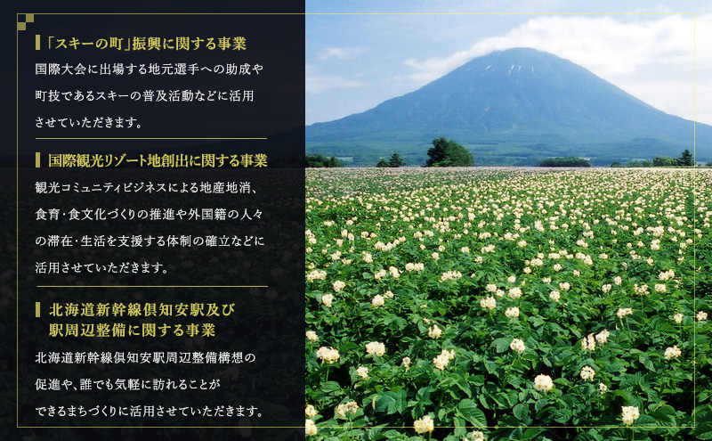 倶知安町 寄附のみの応援受付 4,000円コース（返礼品なし 寄附のみ 4000円）