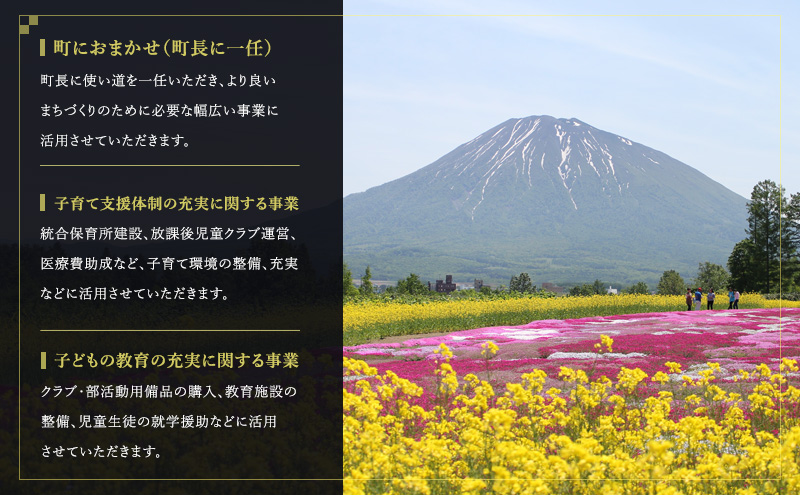 倶知安町 寄附のみの応援受付 20,000円コース（返礼品なし 寄附のみ 20000円）