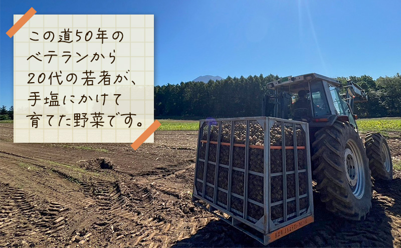 北海道 倶知安 じゃがいも キタカムイ 10kg リストファーム サイズ 混合 馬鈴薯 芋 ポテト イモ 産地直送 野菜