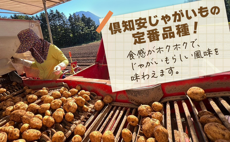 北海道 倶知安 じゃがいも 男爵 5kg リストファーム サイズ 混合 馬鈴薯 芋 ポテト イモ 産地直送 野菜