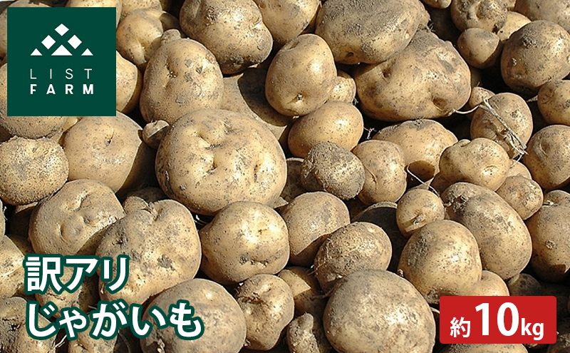 【 訳アリ 】 じゃがいも 約 10kg 男爵 or キタカムイ リストファーム サイズ 混合 馬鈴薯 芋 ポテト イモ 産地直送 野菜