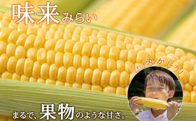 【 2026年 先行予約 】 北海道産 とうもろこし 味来 計12本 L-2L サイズ混合 大きめ みらい 旬 朝採り 新鮮 トウモロコシ 甘い 夏野菜 ハウス栽培 ハウス とうきび お取り寄せ 産地直送 野菜 しりべしや 送料無料