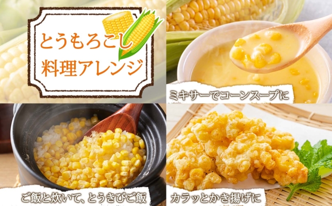 【 2026年 先行予約 】 北海道産 とうもろこし 味来 計12本 L-2L サイズ混合 大きめ みらい 旬 朝採り 新鮮 トウモロコシ 甘い 夏野菜 ハウス栽培 ハウス とうきび お取り寄せ 産地直送 野菜 しりべしや 送料無料