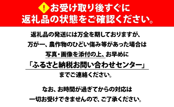 【 2026年 先行予約 】 北海道産 とうもろこし 味来 計12本 L-2L サイズ混合 大きめ みらい 旬 朝採り 新鮮 トウモロコシ 甘い 夏野菜 ハウス栽培 ハウス とうきび お取り寄せ 産地直送 野菜 しりべしや 送料無料