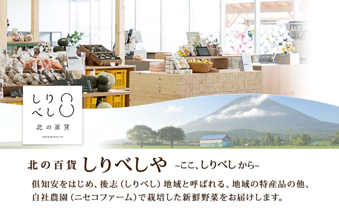 【 2026年 先行予約 】 北海道産 とうもろこし 味来 計12本 L-2L サイズ混合 大きめ みらい 旬 朝採り 新鮮 トウモロコシ 甘い 夏野菜 ハウス栽培 ハウス とうきび お取り寄せ 産地直送 野菜 しりべしや 送料無料