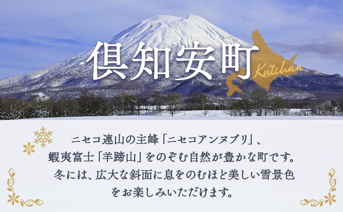 北海道 倶知安町 宿泊 利用 クーポン 【1万円分】 チケット 旅行 ホテル パークハイアット ニセコ HANAZONO Panorama Niseko AYA Villas 他 リゾート コンドミニアム コテージ ヴィラ 券 宿泊券 観光 高級 宿 体験 長期滞在 旅 