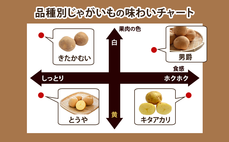 【 2026年 出荷 先行予約 】 北海道 倶知安 産 じゃがいも  きたかむい  L サイズ 10kg 馬鈴薯 いも 芋 グリーンアースファーム 農家 直送 野菜 産地直送