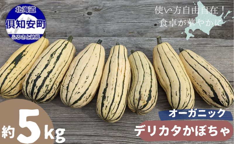 【2026年発送】 オーガニック かぼちゃ デリカタ BOX 約5kg 有機栽培 南瓜 カボチャ 北海道 倶知安 ニセコグリーンファーム