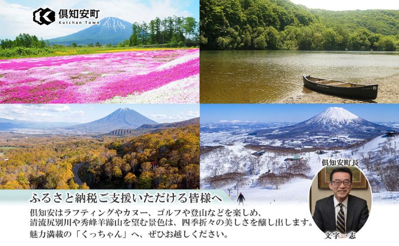 トイレットペーパー 2種 ボックスティッシュ 定期便 全3回　日本製 まとめ買い 防災 常備品 日用雑貨 消耗品 生活必需品 大容量 備蓄 リサイクル ティッシュ ペーパー まとめ買い 雑貨 倶知安町