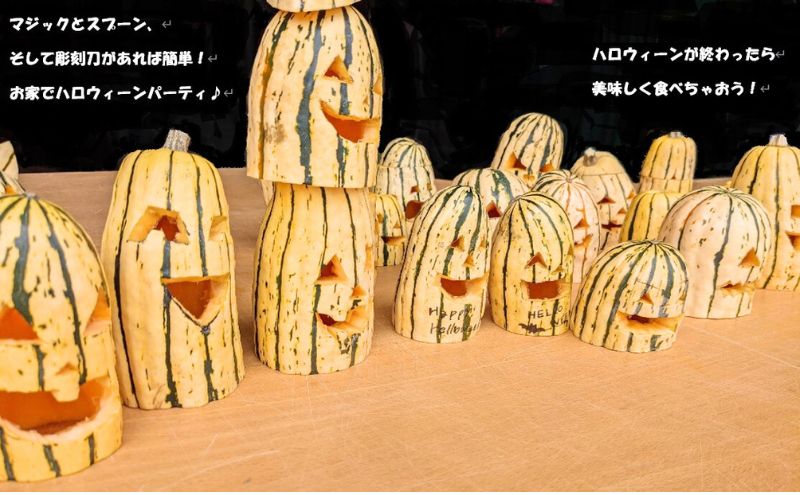 【2026年発送】 オーガニック かぼちゃ デリカタ BOX 約5kg 有機栽培 南瓜 カボチャ 北海道 倶知安 ニセコグリーンファーム