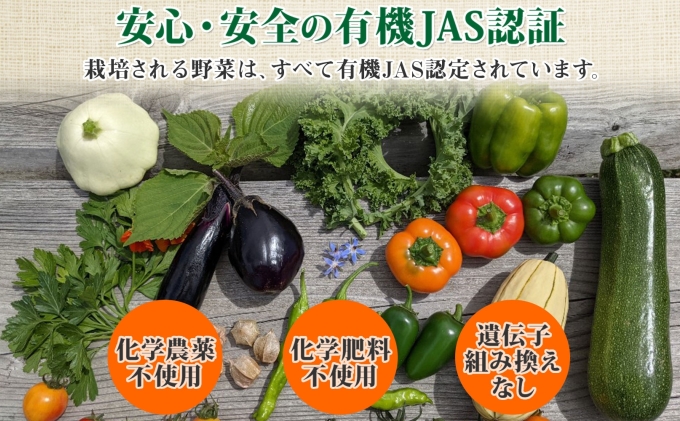 【2026年発送】 オーガニック かぼちゃ デリカタ BOX 約5kg 有機栽培 南瓜 カボチャ 北海道 倶知安 ニセコグリーンファーム
