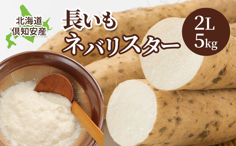 【 2026年 出荷 】 北海道 俱知安町産 ネバリスター 計5kg 北海道産 芋 ながいも 長芋 とろろ 新鮮 フレッシュ 野菜 農作物 産直 山芋 大和芋 イチョウ芋 麦とろ 山かけ おつまみ グリーンアースファーム 送料無料 倶知安町