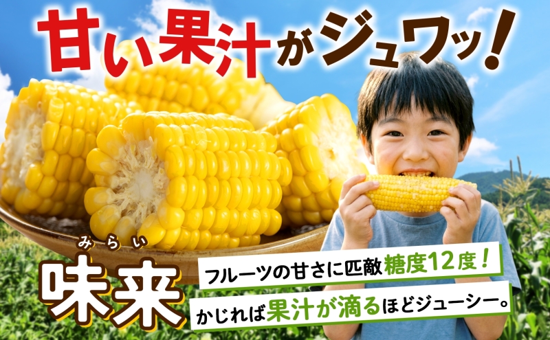 朝もぎ イエロー とうもろこし 味来 みらい 2Lサイズ 10本 お試し 大きめ 夏野菜 とうきび 旬 新鮮 野菜 トウモロコシ 甘い ギフト 産地直送 コーン 産直 グリーンアースファーム 送料無料 北海道 倶知安町