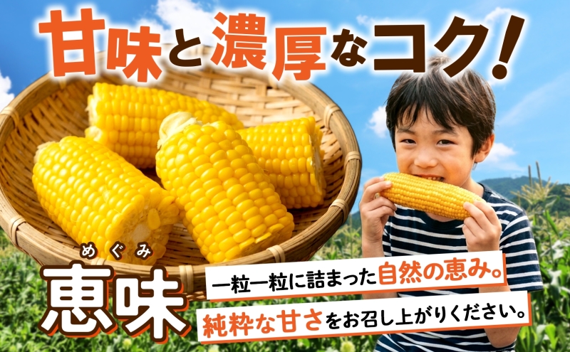 朝もぎ イエロー とうもろこし 恵味 2Lサイズ 13本 約5kg 大きめ 夏野菜 とうきび 旬 新鮮 野菜 トウモロコシ 甘い ギフト 産地直送 コーン 産直 グリーンアースファーム 送料無料 北海道 倶知安町