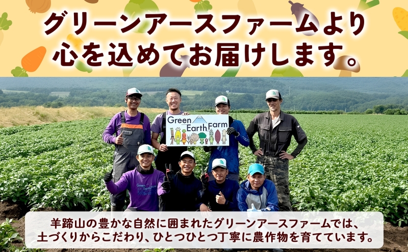 朝もぎ イエロー とうもろこし 恵味 2Lサイズ 13本 約5kg 大きめ 夏野菜 とうきび 旬 新鮮 野菜 トウモロコシ 甘い ギフト 産地直送 コーン 産直 グリーンアースファーム 送料無料 北海道 倶知安町