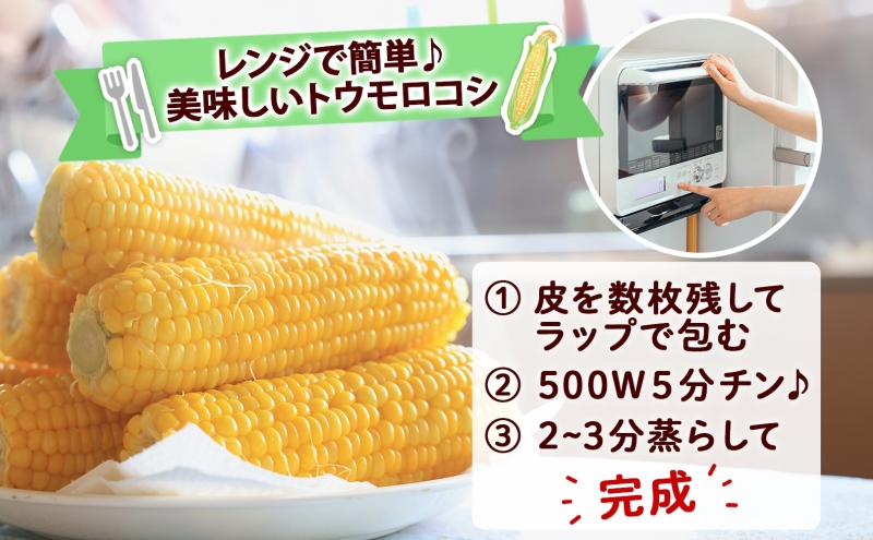 朝もぎ イエロー とうもろこし 恵味 2Lサイズ 26本 約10kg 大きめ 夏野菜 とうきび 旬 新鮮 野菜 トウモロコシ 甘い ギフト 産地直送 コーン 産直 グリーンアースファーム 送料無料 北海道 倶知安町