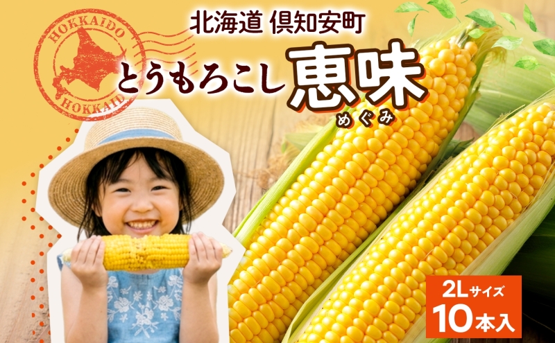 朝もぎ イエロー とうもろこし 恵味 2Lサイズ 10本 お試し 大きめ 夏野菜 とうきび 旬 新鮮 野菜 トウモロコシ 甘い ギフト 産地直送 コーン 産直 グリーンアースファーム 送料無料 北海道 倶知安町