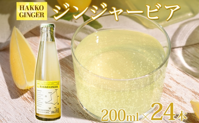 北海道 自家製 ジンジャービア 200ml×24本 HAKKO GINGER 発酵 ジンジャー ビール 生姜 レモン 辛口 ノンアルコール 炭酸 ヘルシー 野菜飲料 野菜ジュース 飲料類 炭酸飲料