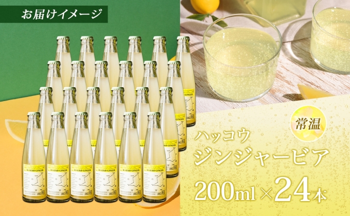 北海道 自家製 ジンジャービア 200ml×24本 HAKKO GINGER 発酵 ジンジャー ビール 生姜 レモン 辛口 ノンアルコール 炭酸 ヘルシー 野菜飲料 野菜ジュース 飲料類 炭酸飲料 
