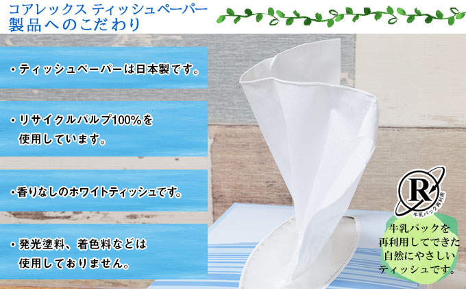 北海道産 ティッシュペーパー20箱 ＆ キッチン 食器 洗剤 たわし ラップ アルミホイル 大容量 セット