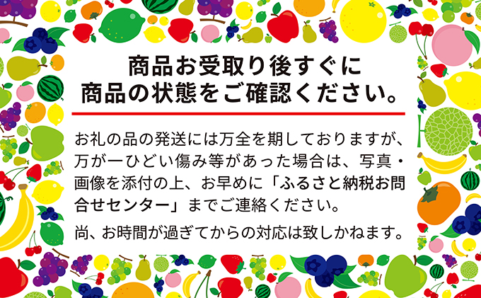 2025年 8月 出荷 先行予約 メロン 北海道 共和町産 らいでんメロン 赤肉 5玉 セット フルーツ 果物 産地直送 JAきょうわ