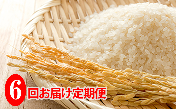 ◆6ヶ月連続定期便◆JAきょうわ米  ななつぼし5kg