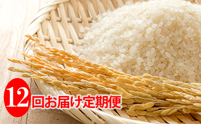 ◆12ヶ月連続定期便◆JAきょうわ米  ななつぼし5kg