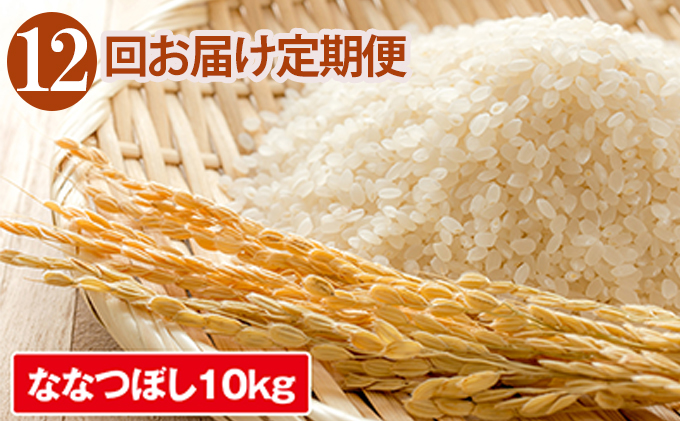 米 定期便 12ヶ月 ななつぼし 10kg JAきょうわ米 お米 白米