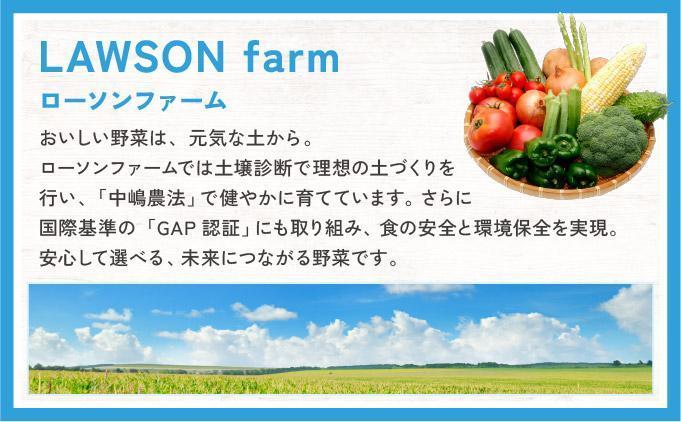 ããŒãœã³ãã¡ãŒã åæµ·é岩å
ã¬ãã«ããšããããã15æ¬ã»ãã