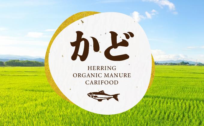 縲仙圏豬キ驕鍋肇縺顔アウ縲代↑縺ェ縺、縺シ縺5kg縲シ医き繝芽ぇ譁吩スソ逕ィシ