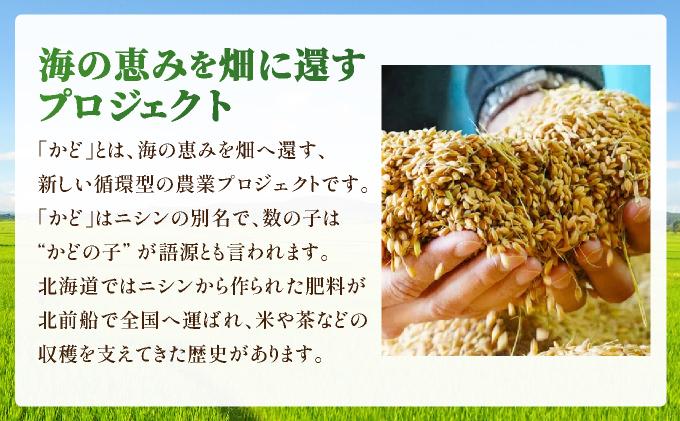 縲仙圏豬キ驕鍋肇縺顔アウ縲代↑縺ェ縺、縺シ縺5kg縲シ医き繝芽ぇ譁吩スソ逕ィシ