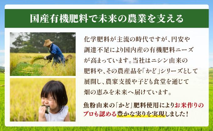 縲仙圏豬キ驕鍋肇縺顔アウ縲代↑縺ェ縺、縺シ縺5kg縲シ医き繝芽ぇ譁吩スソ逕ィシ