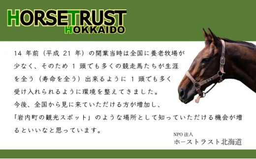 【引退競走馬 余生支援】北海道 岩内町 ホーストラスト北海道支援 1000万円コース 引退馬 