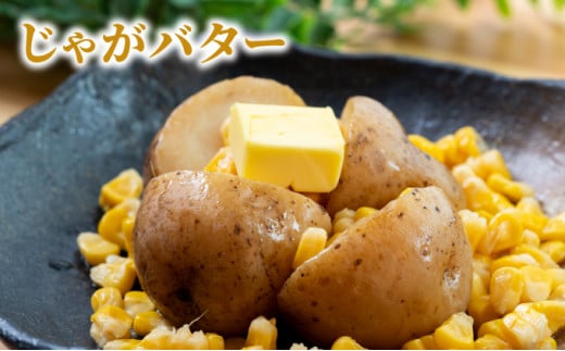 ããŒãœã³ãã¡ãŒã åæµ·é岩å
ã»ããïŒã¬ãã«ããšãããããïŒããããã¿âïŒããŠã¢ãã³ã· ãšããããã ããããã ãžã£ã¬ã€ã¢ ãžã£ã¬ãã¿ãŒ éè ã»ãã è©°ãåãã ããŒãœã³ ãã ãã ã¬ãã«ã ã³ãŒã³ ç°¡åèª¿ç æž©ããã ã äžäººæ®ãã F21H-415