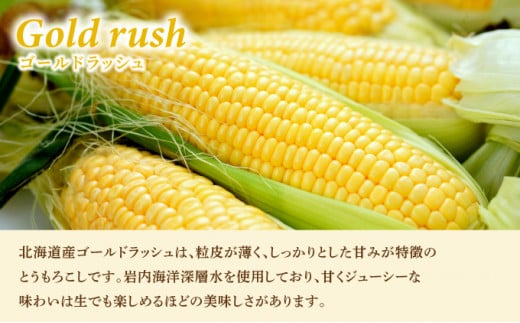 ããŒãœã³ãã¡ãŒã åæµ·é岩å
ã»ããïŒã¬ãã«ããšãããããïŒããããã¿âïŒããŠã¢ãã³ã· ãšããããã ããããã ãžã£ã¬ã€ã¢ ãžã£ã¬ãã¿ãŒ éè ã»ãã è©°ãåãã ããŒãœã³ ãã ãã ã¬ãã«ã ã³ãŒã³ ç°¡åèª¿ç æž©ããã ã äžäººæ®ãã F21H-415