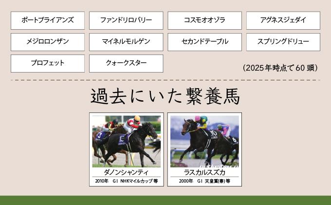 【引退競走馬 余生支援】北海道 岩内町 ホーストラスト北海道支援 500万円コース 引退馬 F21H-571