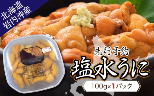 【先行予約】塩水ムラサキウニ100g×1パック 北海道岩内沖産 【2024年7月上旬頃～8月下旬頃発送】 F21H-568
